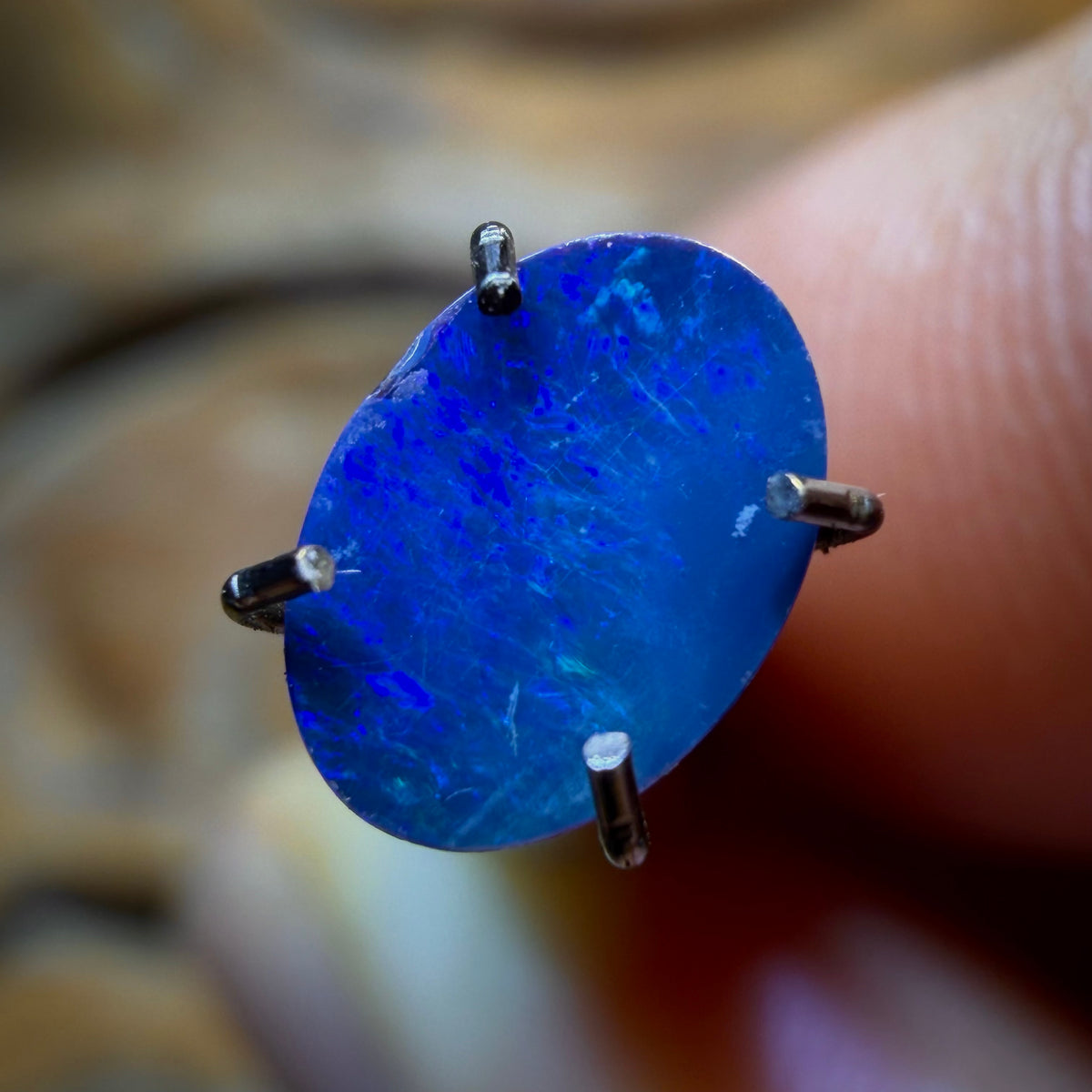 Wildcard! 0.49cts - Australian Boulder Opal Doublet
