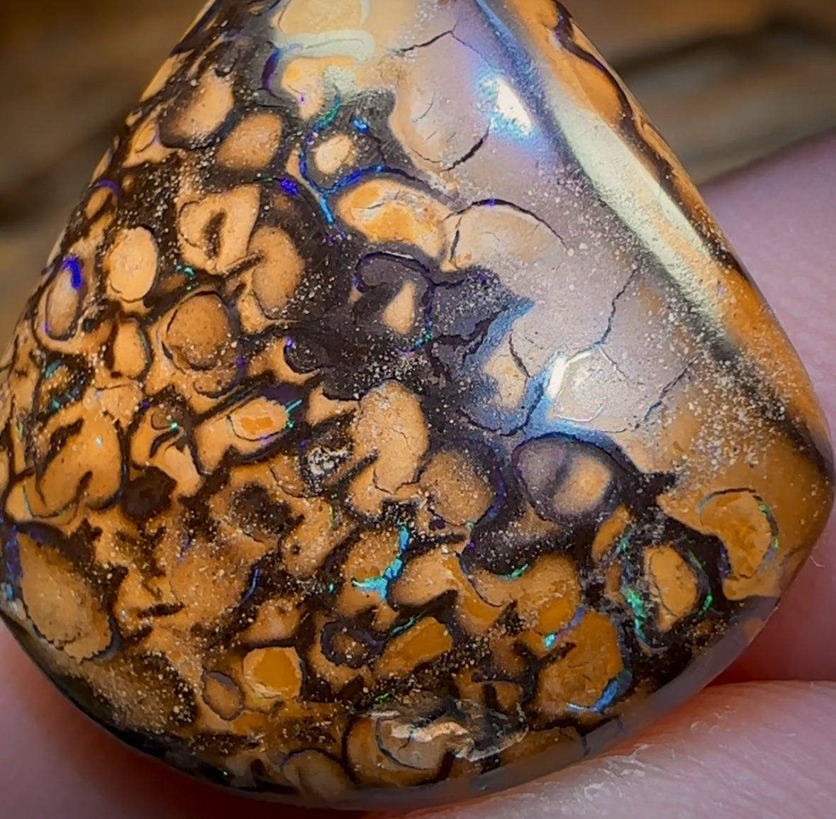23.2cts - Tribal Australian Boulder Opal from Yowah