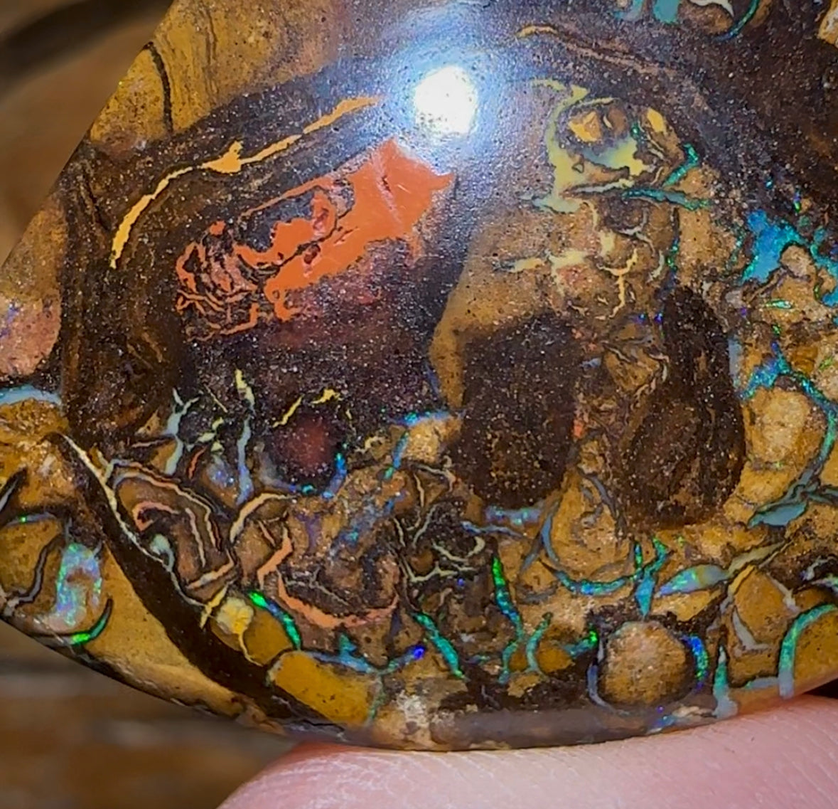 51.2cts - “Tribal Triangle 2”Queensland Boulder Opal from Yowah
