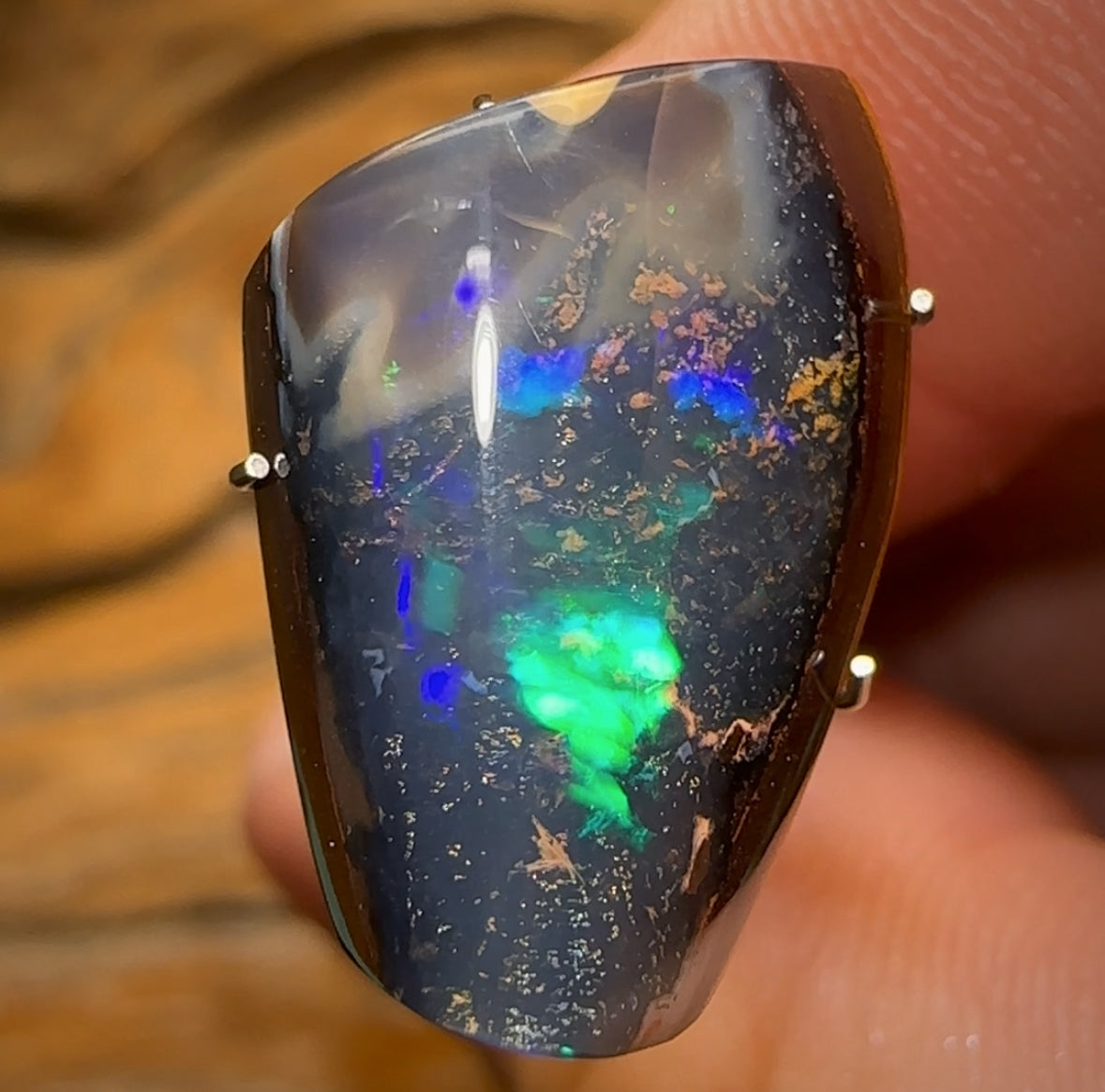 12.2cts - Super Rare Yowah Nut Black Crystal Centre Opal