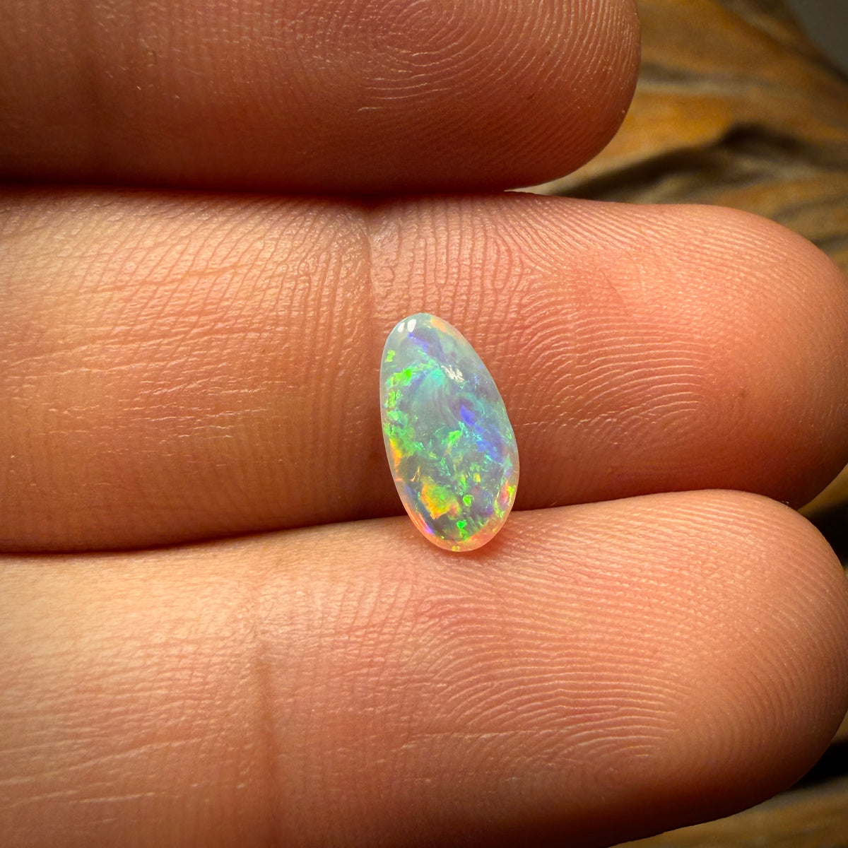 1.1cts - Polished South Australian Shell Fossil Opal