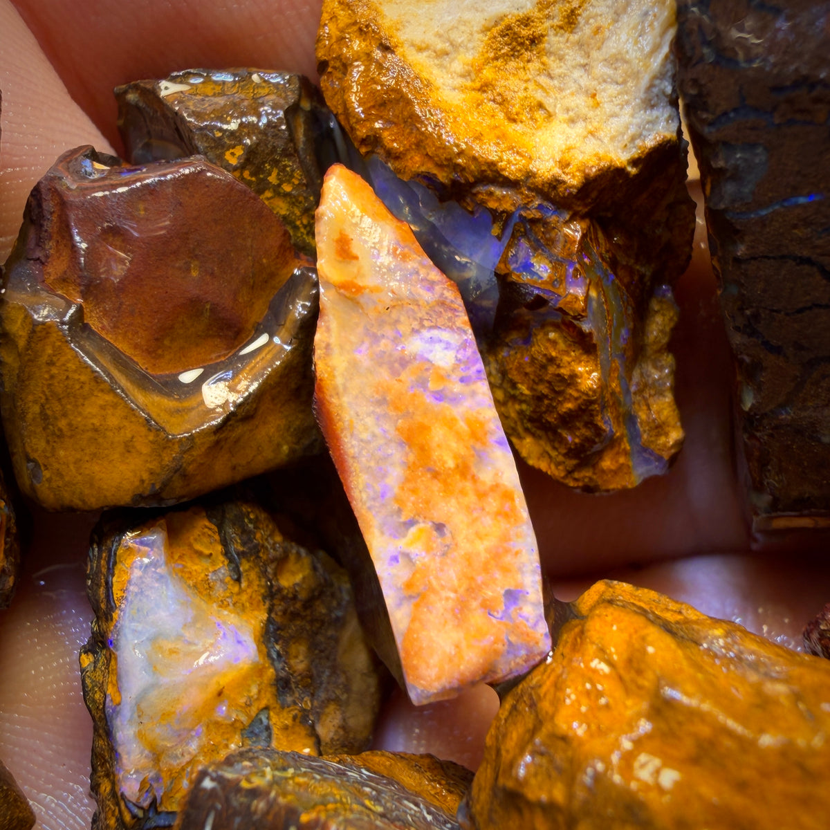 302.1cts - 13x Yowah Nut Rough Opal Parcel. Australian Boulder Opal