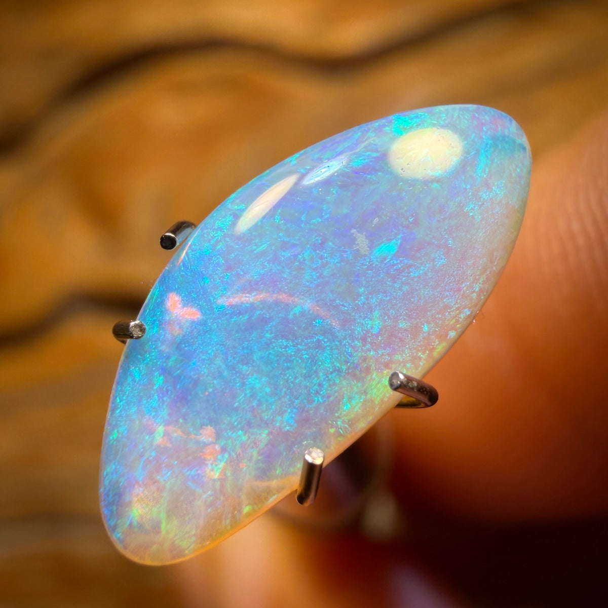 1.65cts - Lightning Ridge Crystal Opal