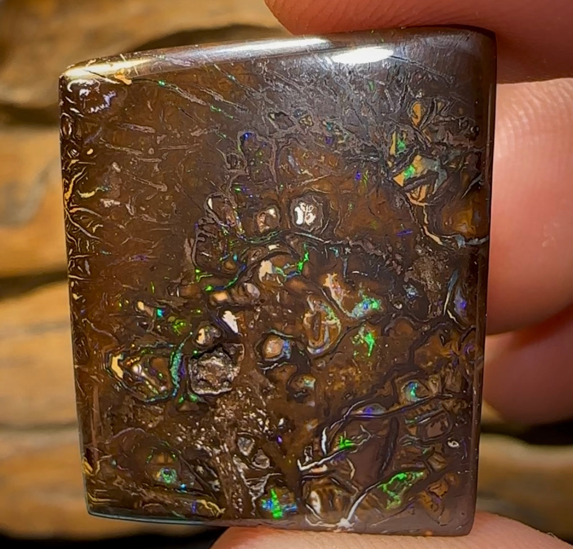 39.7cts - Queensland Boulder Opal from Koroit - Opal Whisperers