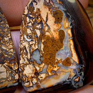 99.3cts - Tribal Queensland Boulder Opal Pair Picture Stones