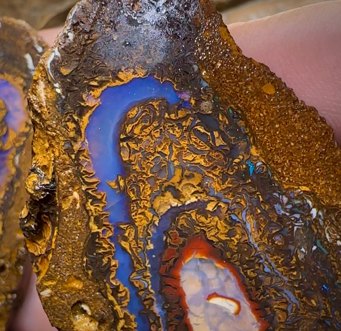 495.1cts - Yowah Nut Rough Specimen Pair. Australian Boulder Opal - Opal Whisperers