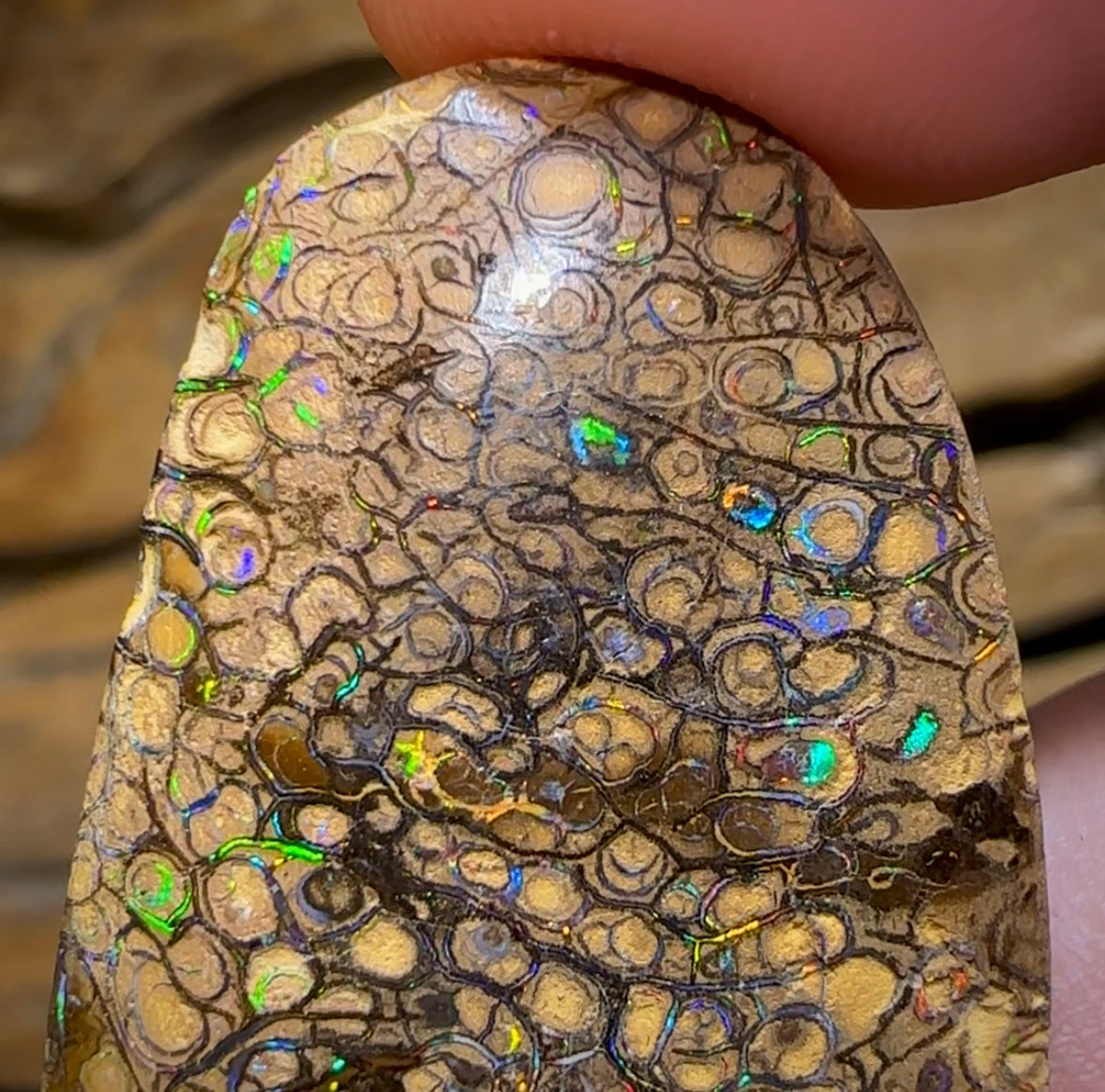 46.3cts - Yowah Nut Tribal. Australian Boulder Opal - Opal Whisperers