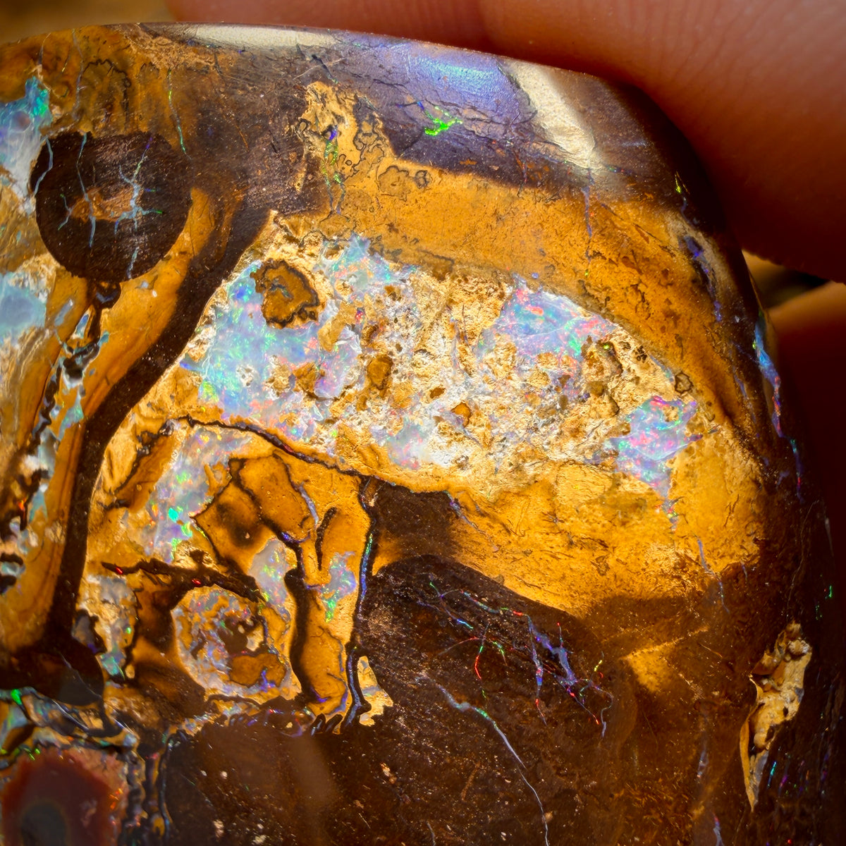 678,5 cts - Grand spécimen poli d'opale boulder australienne tribale