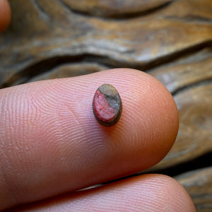 0.32cts - Australian Boulder Opal Doublet