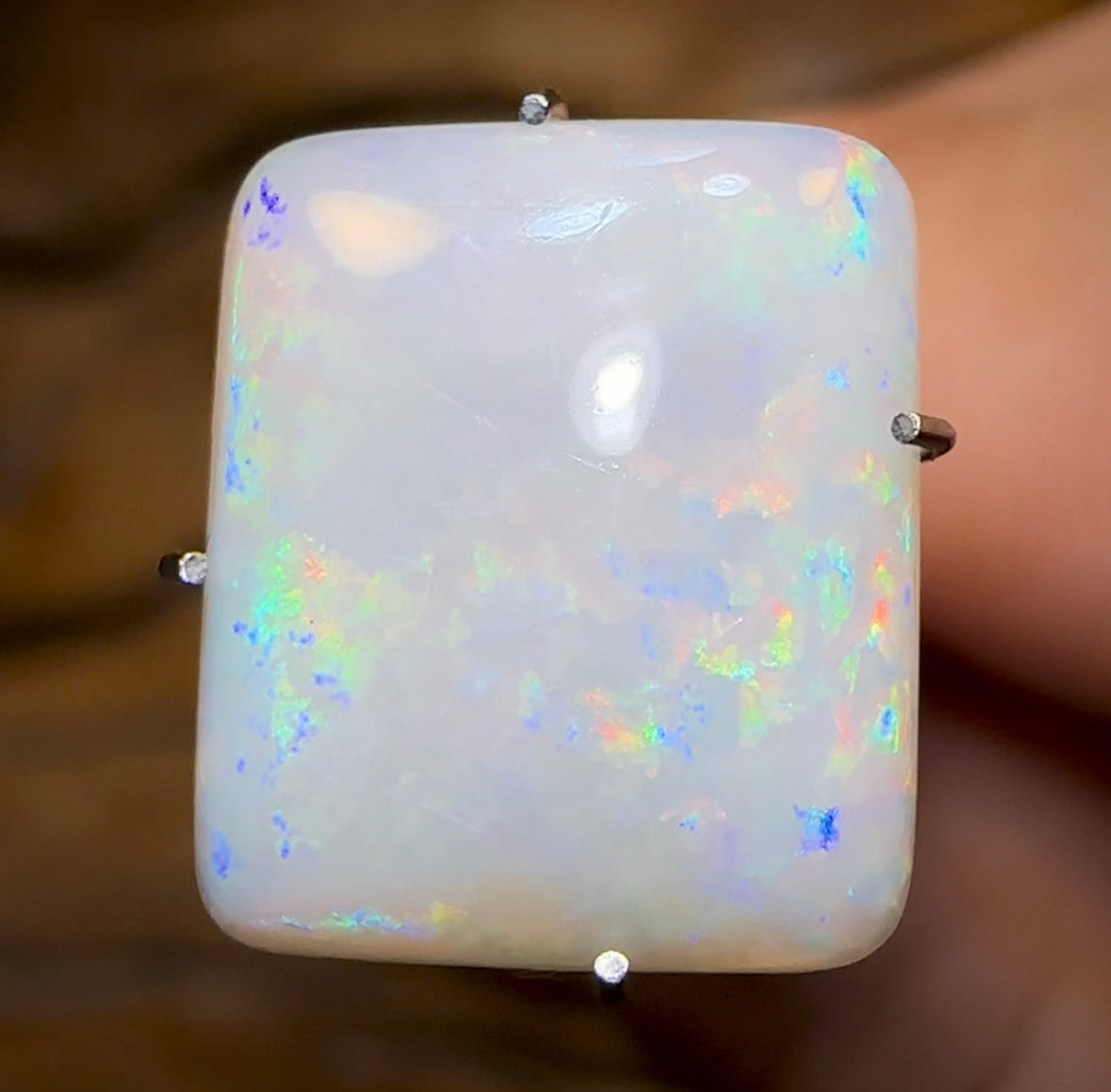 3.1cts - South Australian Multi Colour Opal - Opal Whisperers