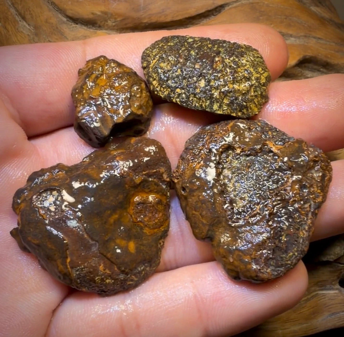 🔒152.7cts - 4x Yowah Nut Partial Crystal Centre Rough Specimen Parcel