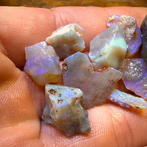 52.9cts - 11x Lightning Ridge Opal Rough Parcel