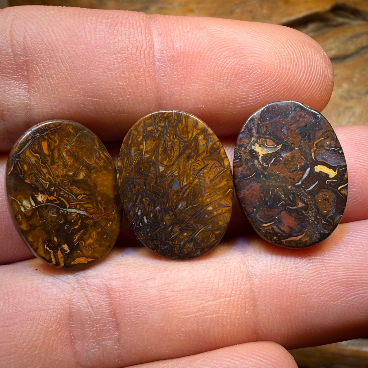 50.8cts - 3x Australian Tribal Boulder Opal’s. Wholesale Parcel