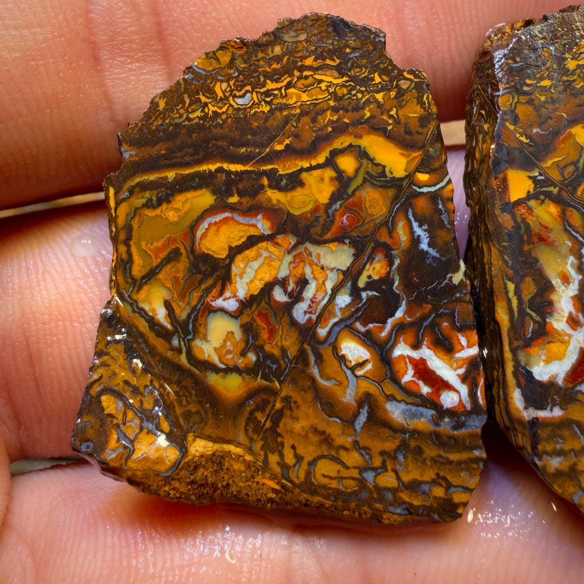 126.2cts - Yowah Nut Tribal Opal Rough Specimen Pair