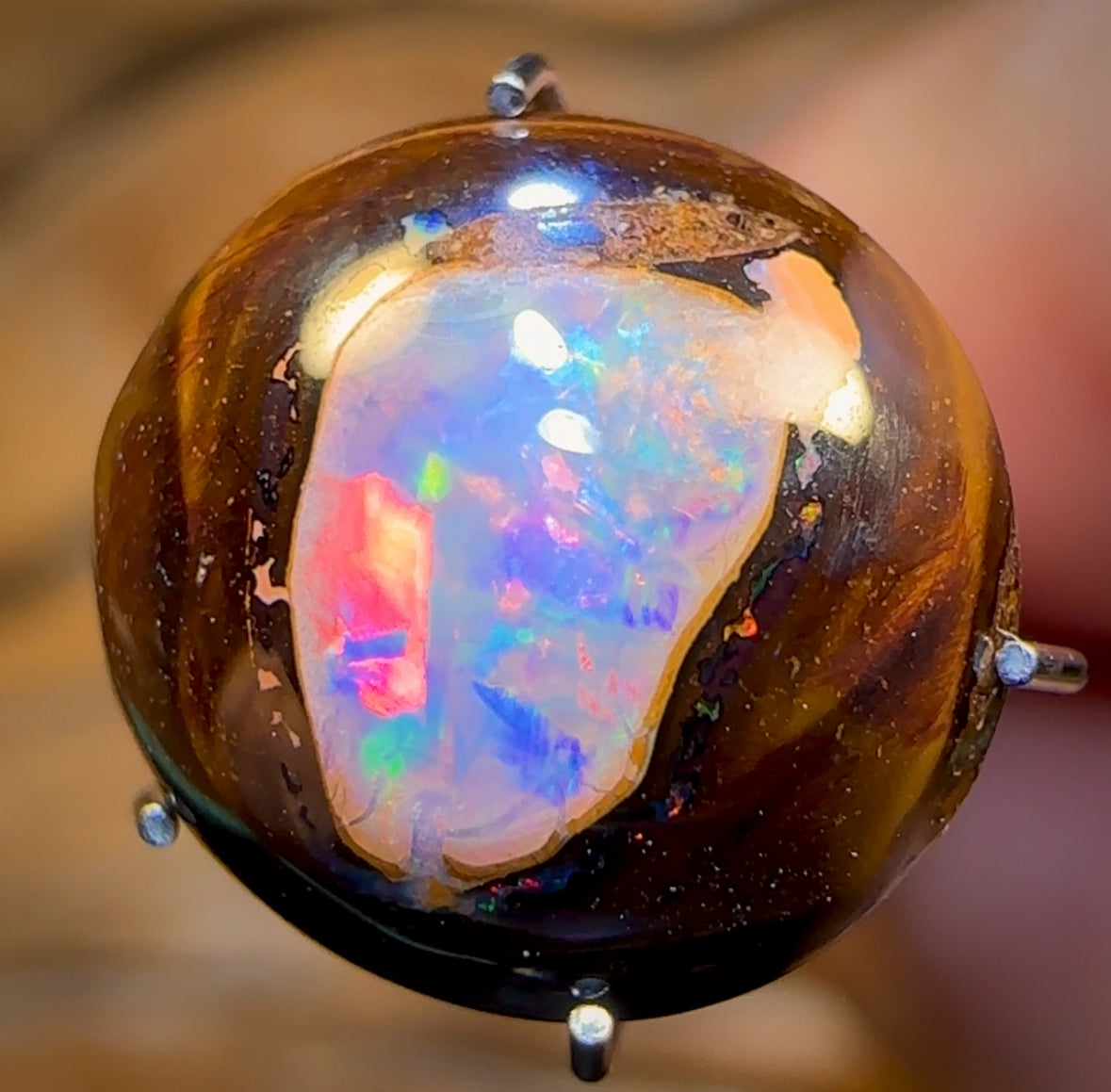 4.3cts - “Small but oh so Sweet2” Yowah Nut Crystal Centre Opal