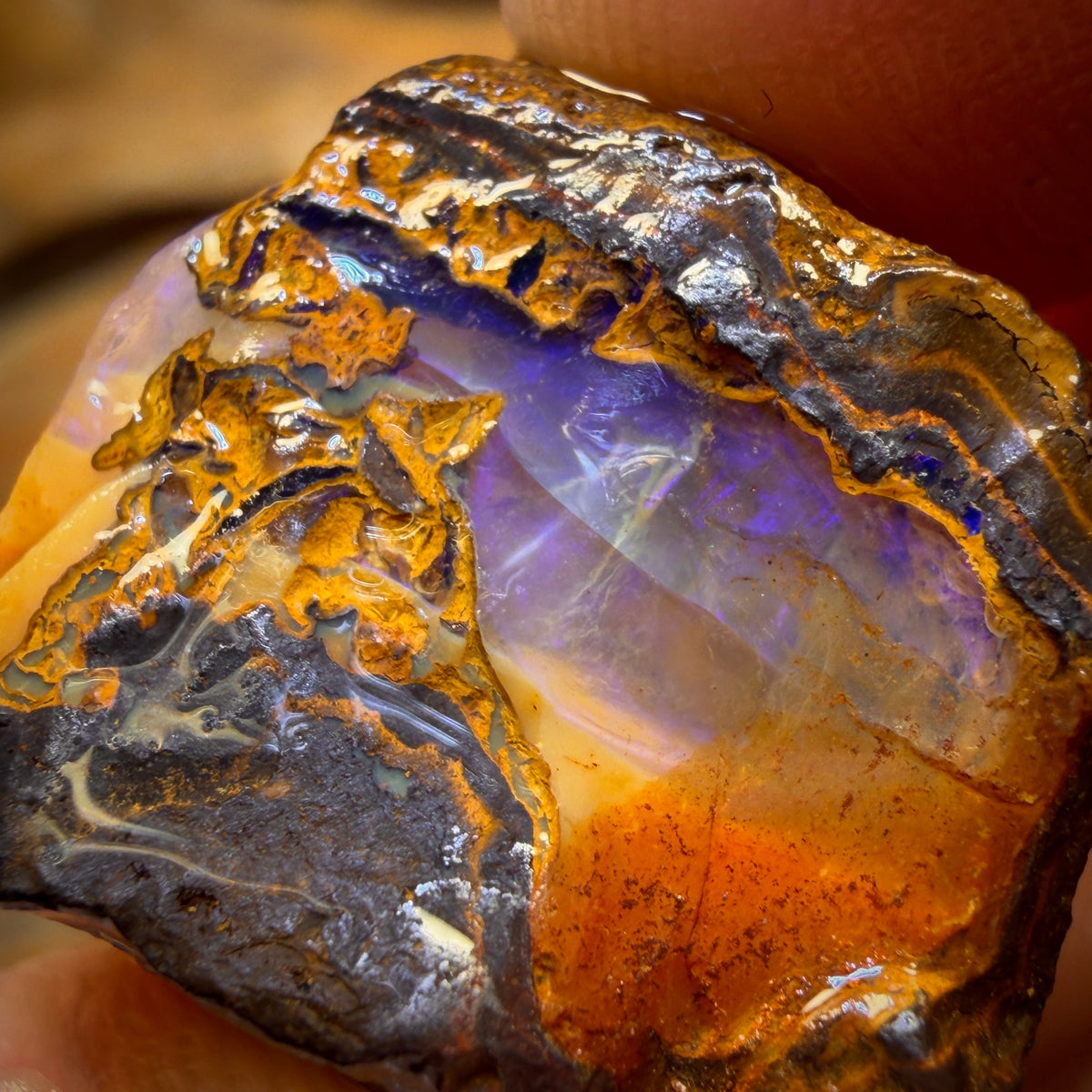 37.1cts - Yowah Nut Crystal Centre Opal Rough Piece