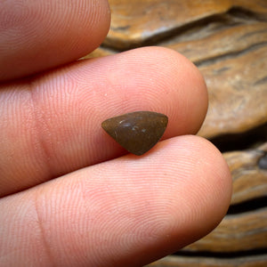 0.8cts - Queensland Boulder Seam Opal. Australian Opal