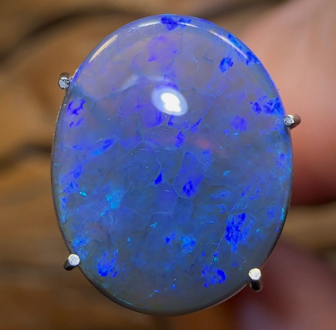 2.5cts - Black Opal from Lightning Ridge - Opal Whisperers