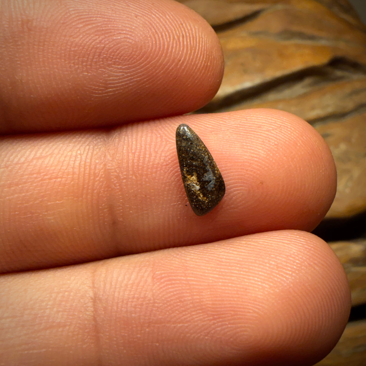 🔨 AUCTION 🔨 0.6cts - Queensland Boulder Seam Opal. Australian Opal