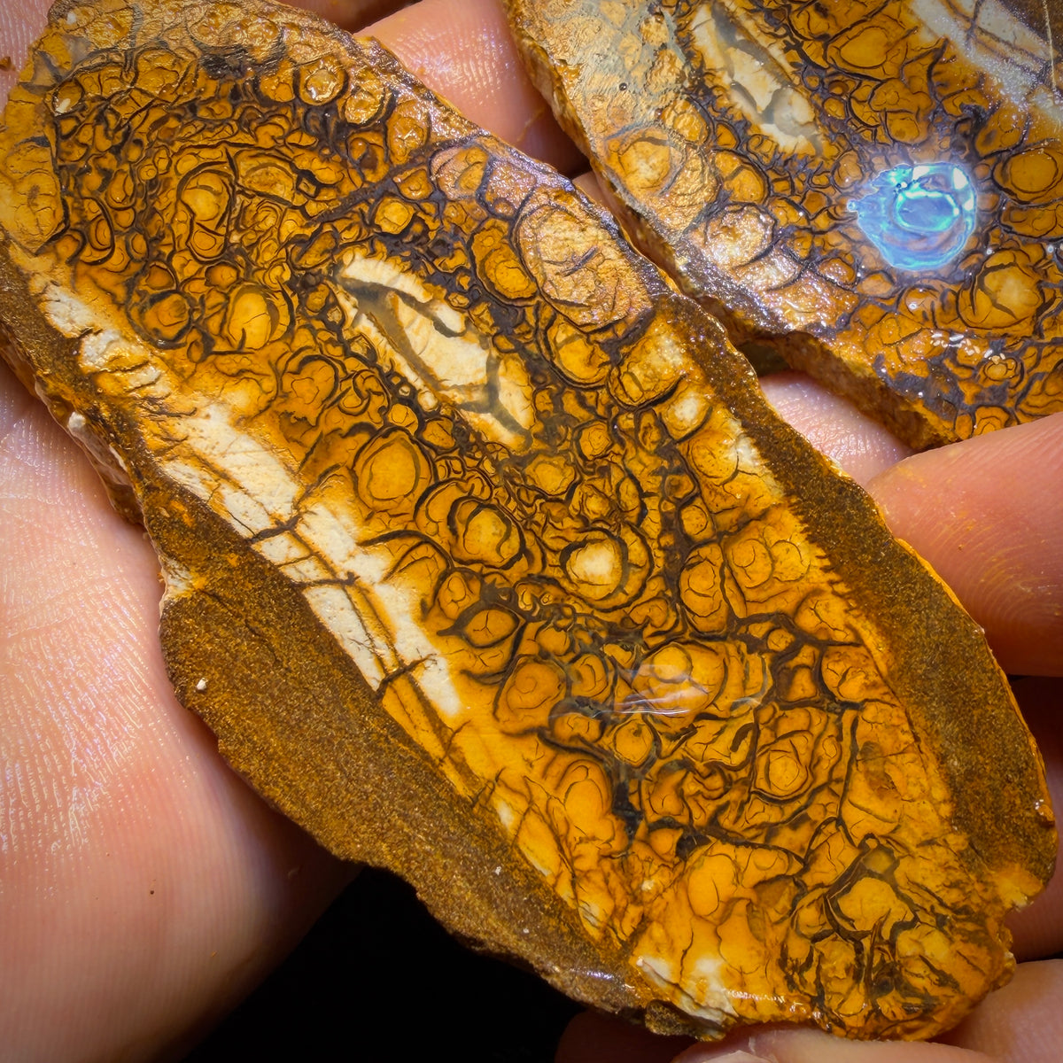 565cts - Large Tribal Yowah Nut Opal Rough Pair. Australian Opal