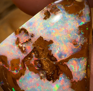 21.9cts - Top Queensland Boulder Opal Fossil Wood from Yowah. Red Multicolours!