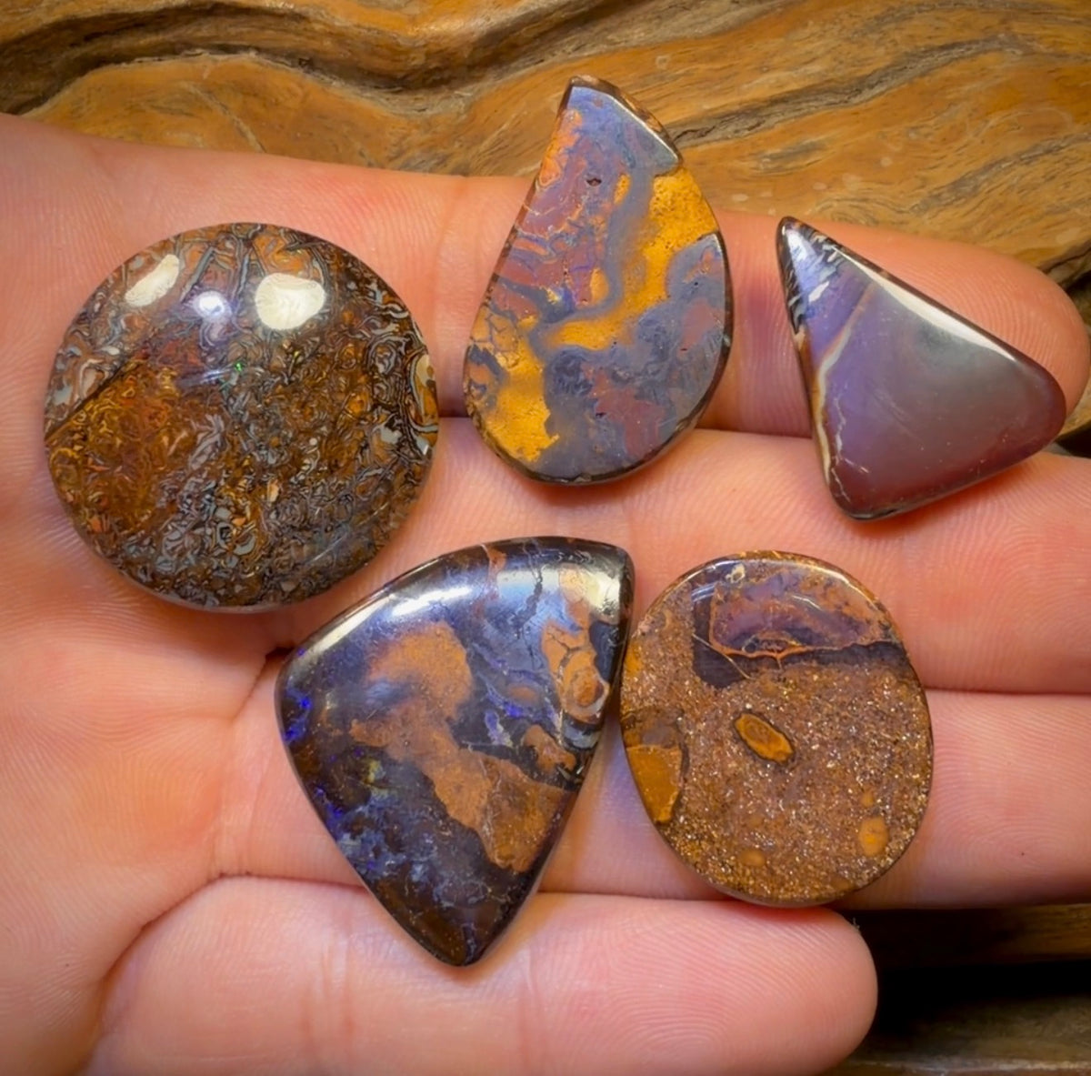 167.5cts - 5x Australian Tribal Boulder Opal’s. Wholesale Dealers Parcel