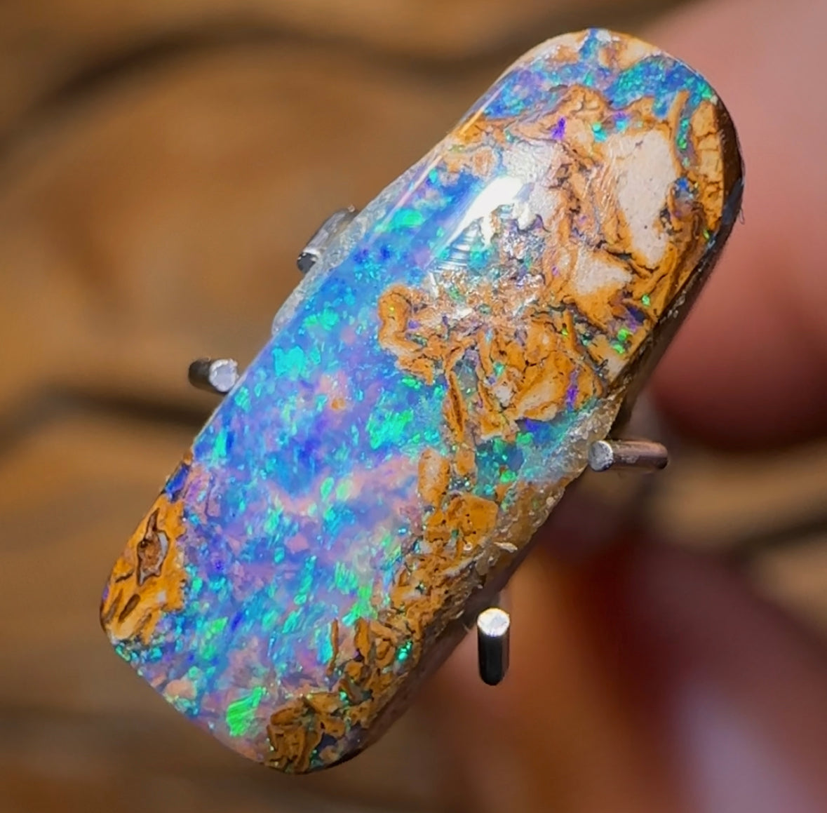 2,15 carats - Magnifique opale scandinave Yowah Nut Pipe, également appelée bleu glacier