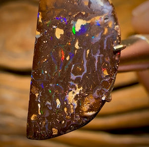 12.2cts - Queensland Boulder Opal from Yowah