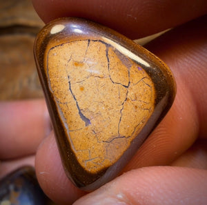 169.6cts - 5x Australian Boulder Opal’s. Wholesale Dealers Parcel