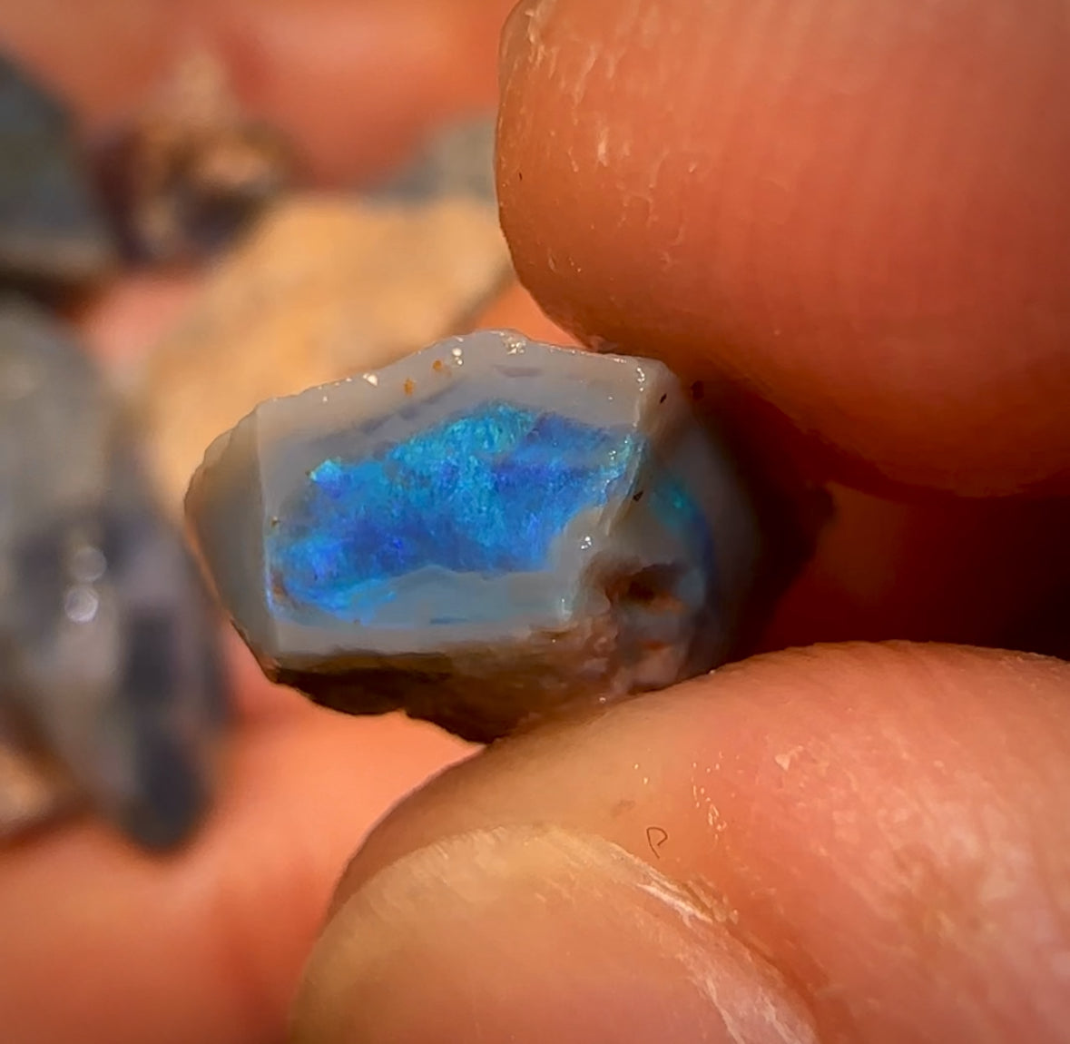 93cts - 11x Lightning Ridge Opal Rough Parcel