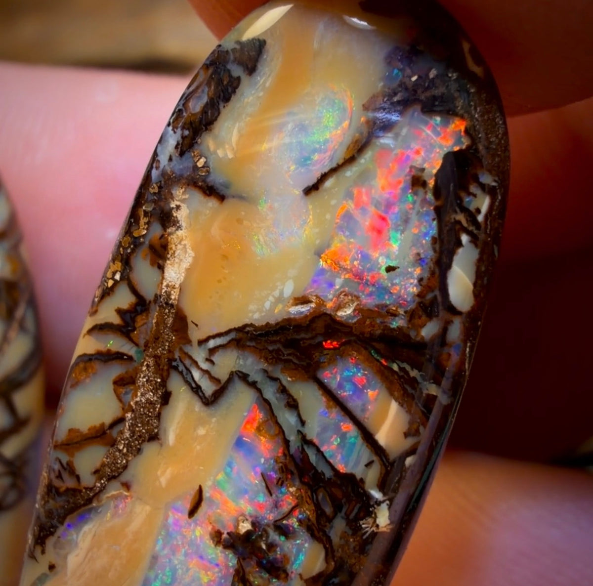 33.1cts - Cathedral AKA Stained Glass Window Australian Boulder Wood Fossil Opal Pair