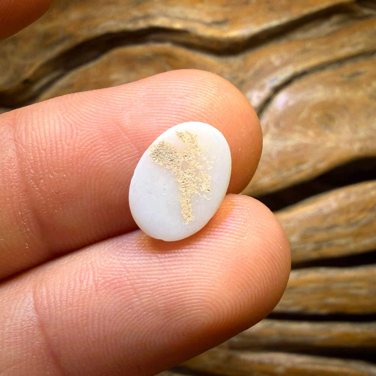 Bargain Card! 1.8cts - South Australian White Opal from Coober Pedy