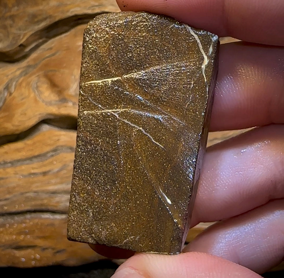 170.3cts - Australian Boulder Opal Rough Piece. Natural Split - Opal Whisperers