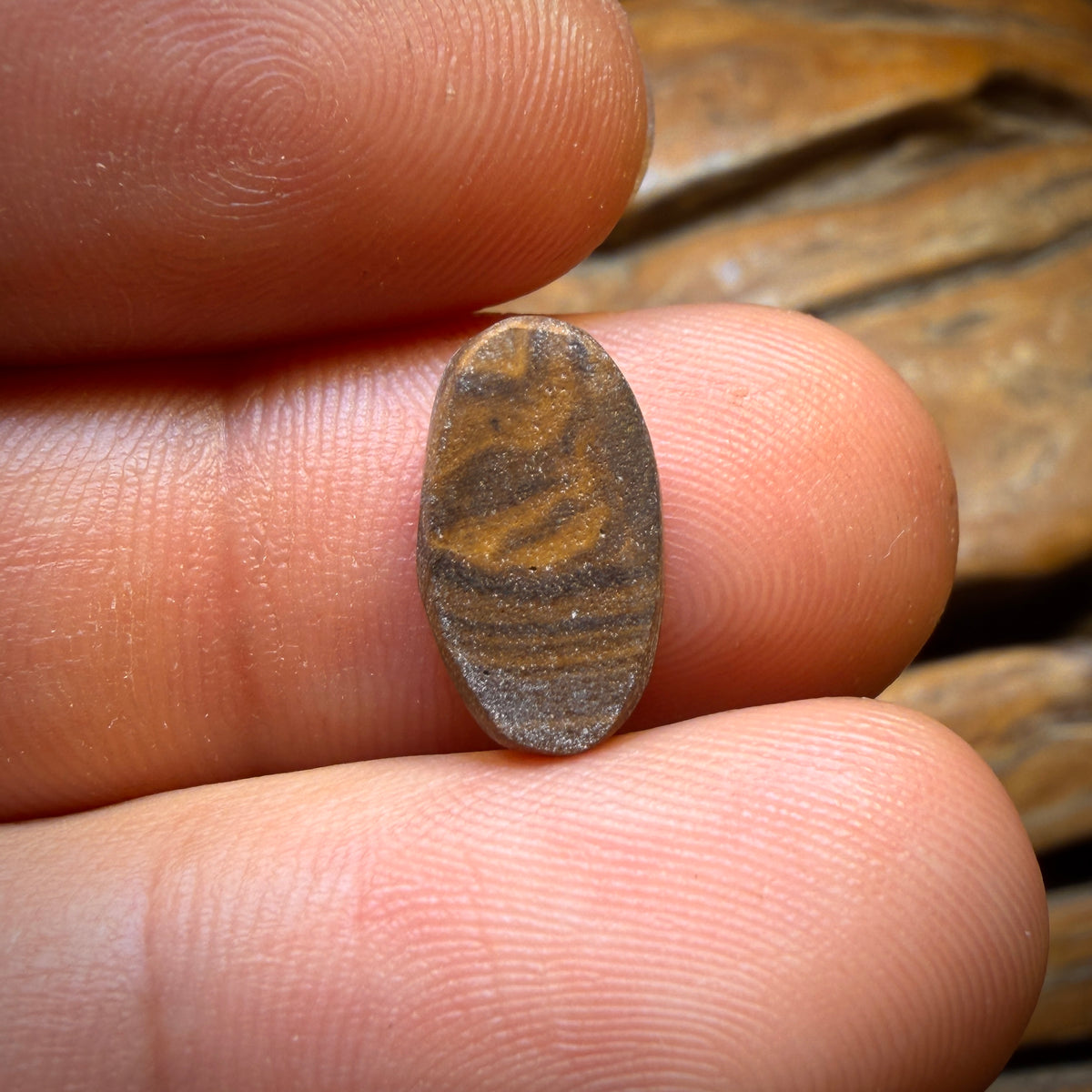 4.1cts - Queensland Boulder Seam Opal. Australian Opal BARGAIN!