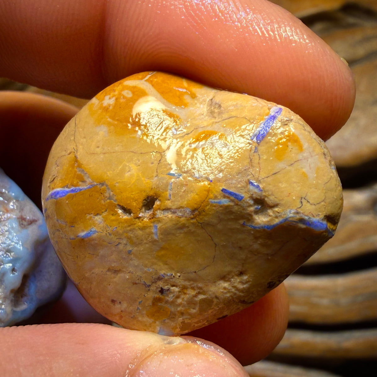 181.2cts - 3x Lightning Ridge Opal Rough Parcel