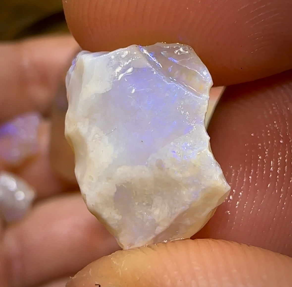 (Template) 55.7cts - 7x Lightning Ridge Crystal Opal Rough - Opal Whisperers