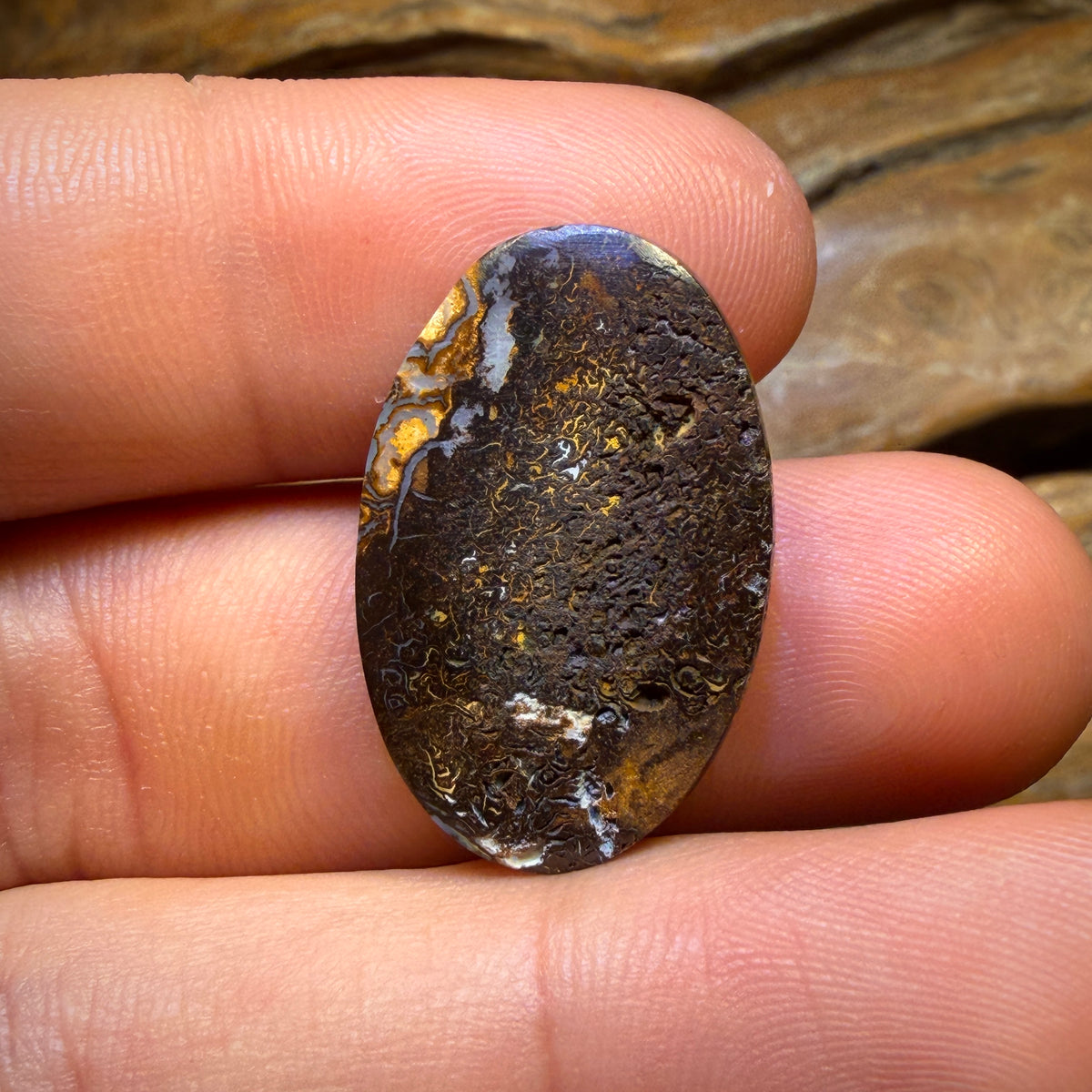 21.6cts - Yowah Nut Tribal Picture Stone Opal. Australian Opal