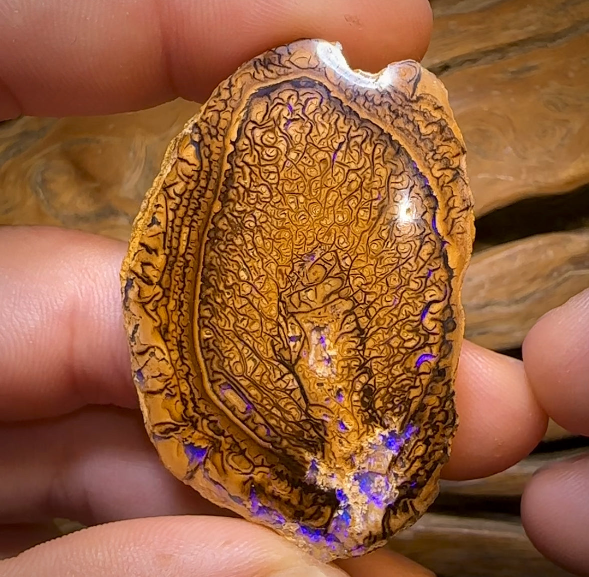 209.4cts - “Tribal Leaves” Yowah Nut Opal Polished Specimen Pair