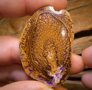 209.4cts - “Tribal Leaves” Yowah Nut Opal Polished Specimen Pair