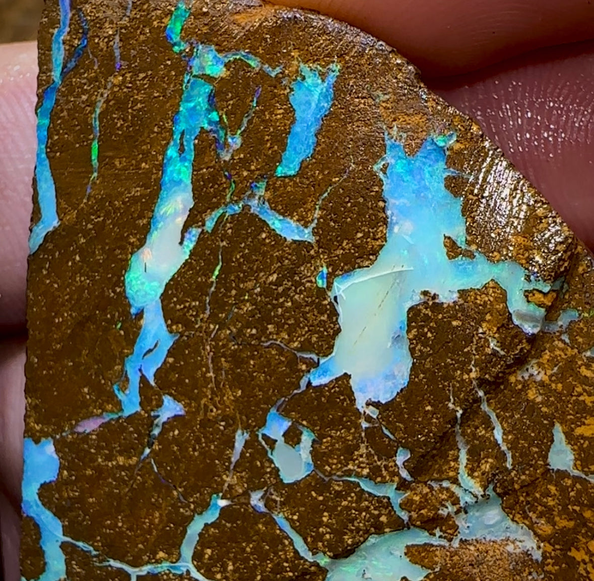 262.2cts - Large Australian Boulder Opal Rough Pair - Opal Whisperers