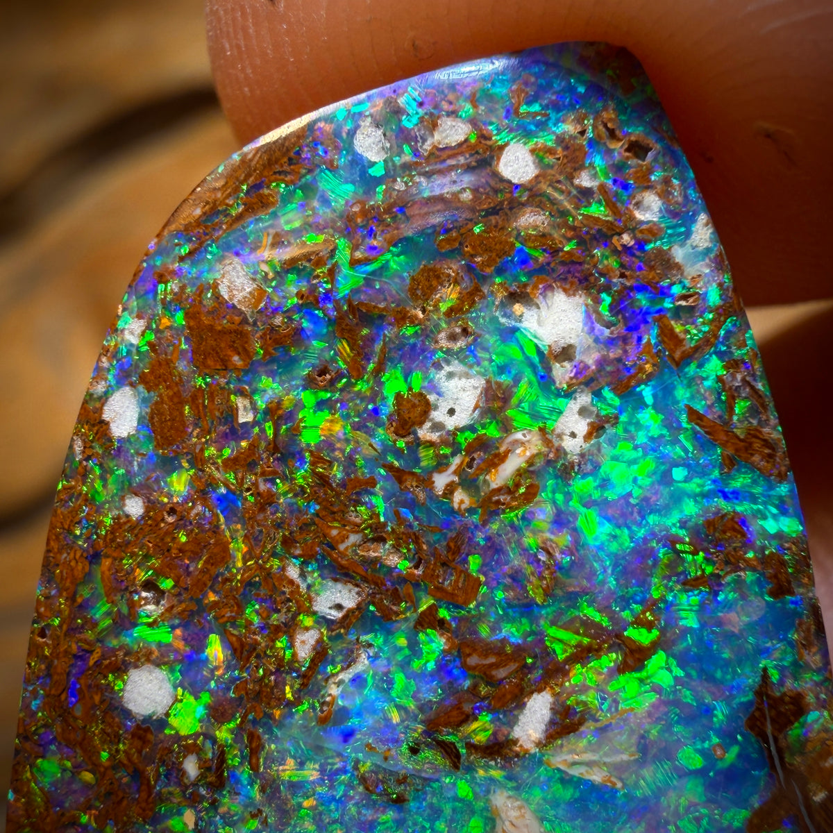 22.7cts - Top Queensland Boulder Opal from Yowah