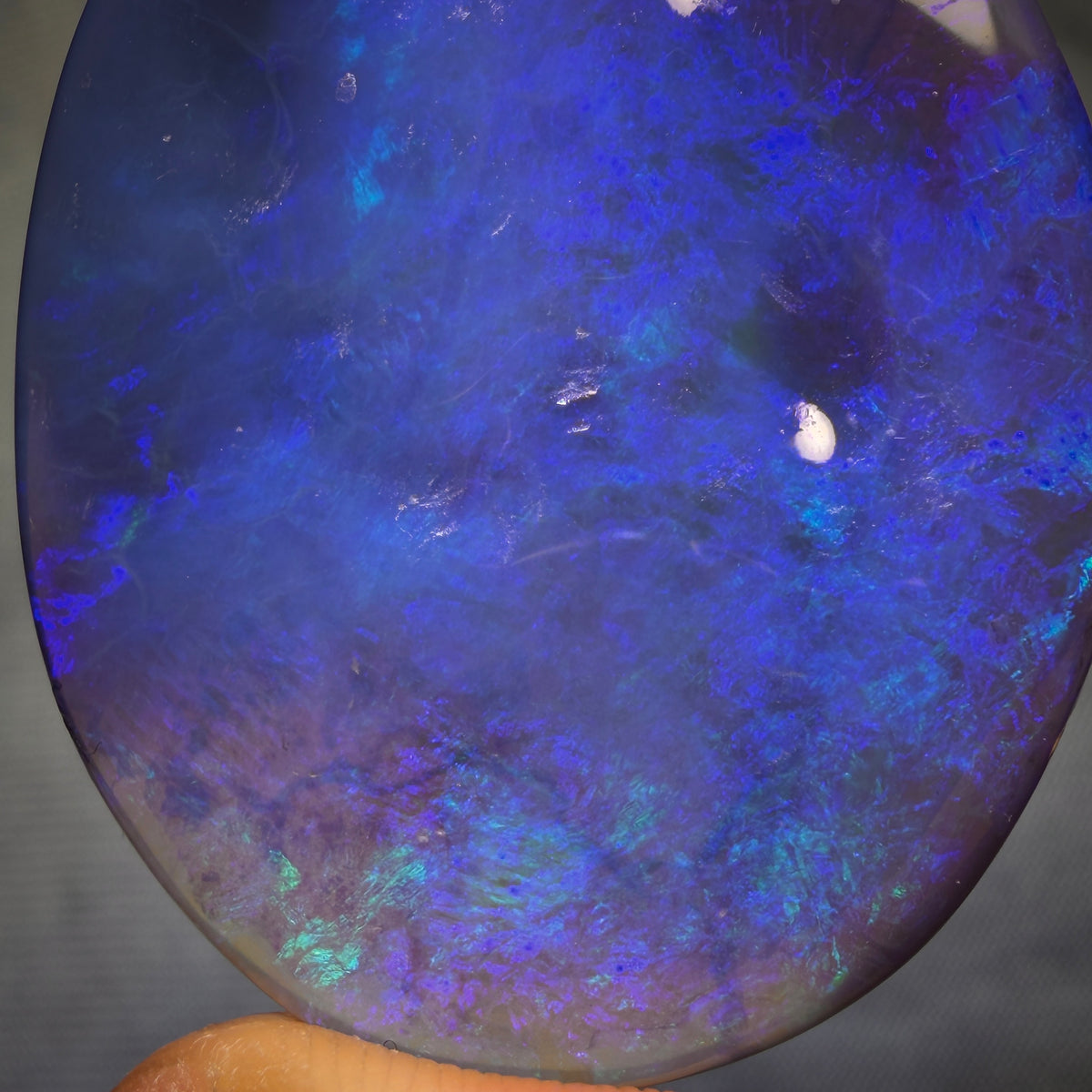 “Set in Stone” - Private Collector Investment - 68.9cts - Gem Lightning Ridge Semi Black Opal. Featured on “Outback Opal Hunters”!
