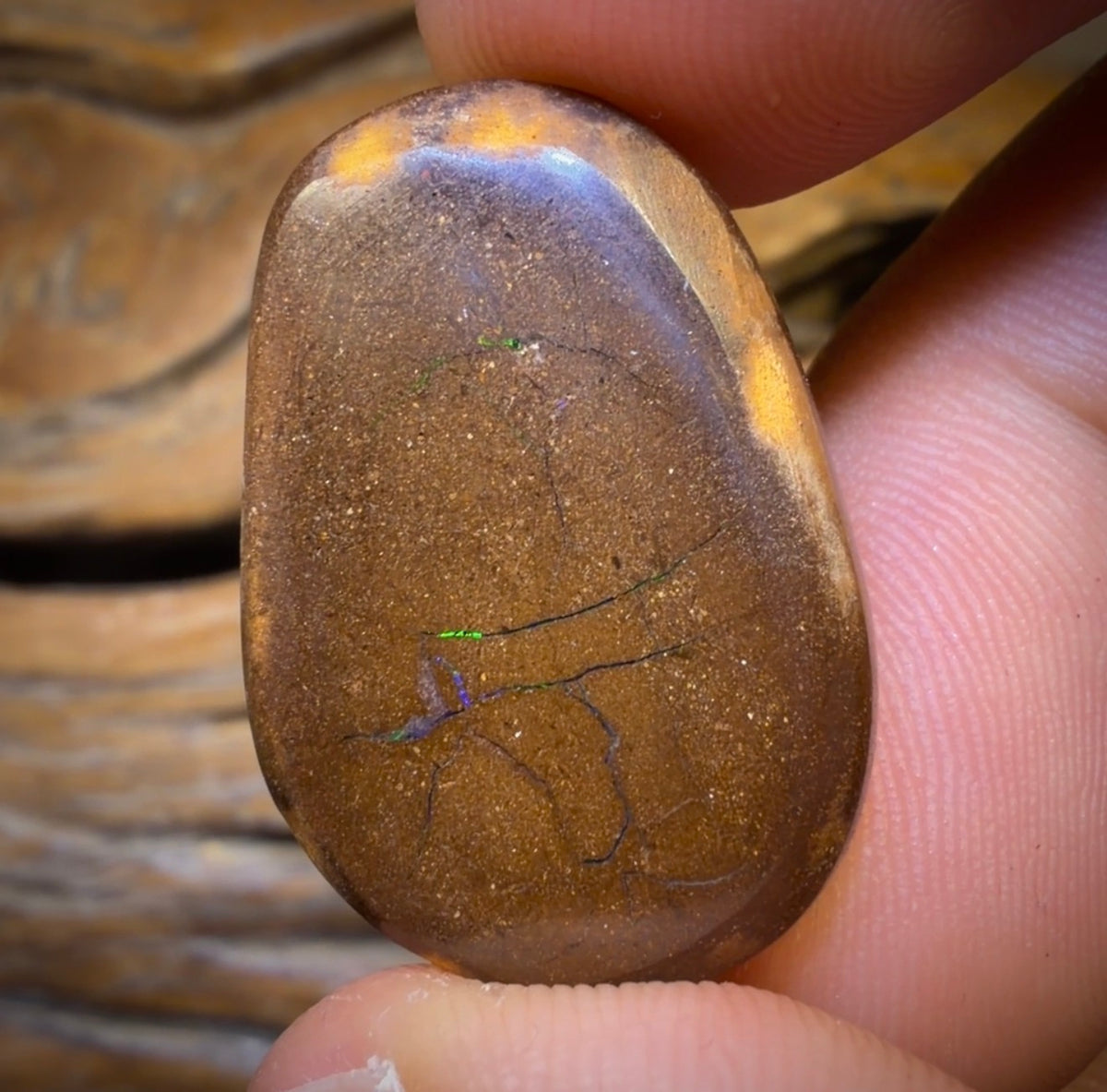 40.5cts - Queensland Boulder Opal. Bubbleband Formation