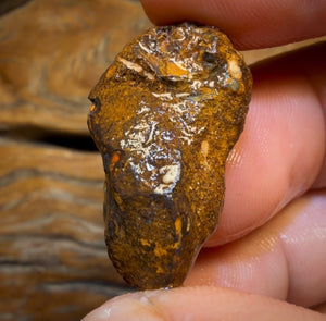 30.4cts - Yowah Nut Crystal Centre Opal Rough Specimen