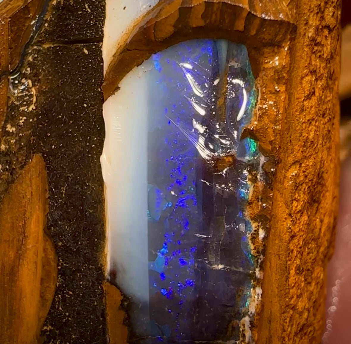 859cts - Pair of Queensland BoulderNatural Split Opal Rough Pieces