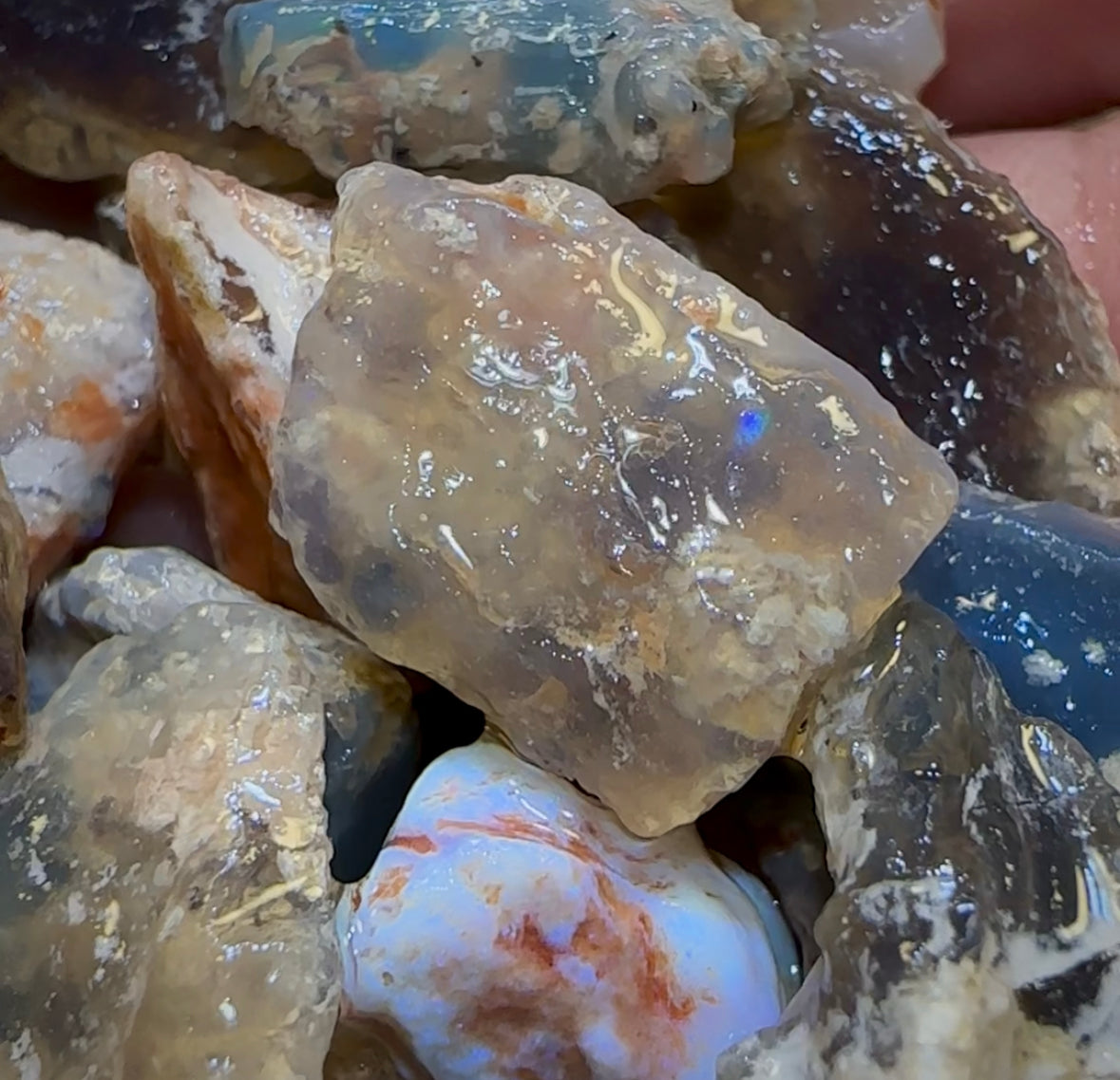 200.2cts - 25x Lightning Ridge Fossil Replacement Opal Rough Parcel Under $2/Ct - Opal Whisperers