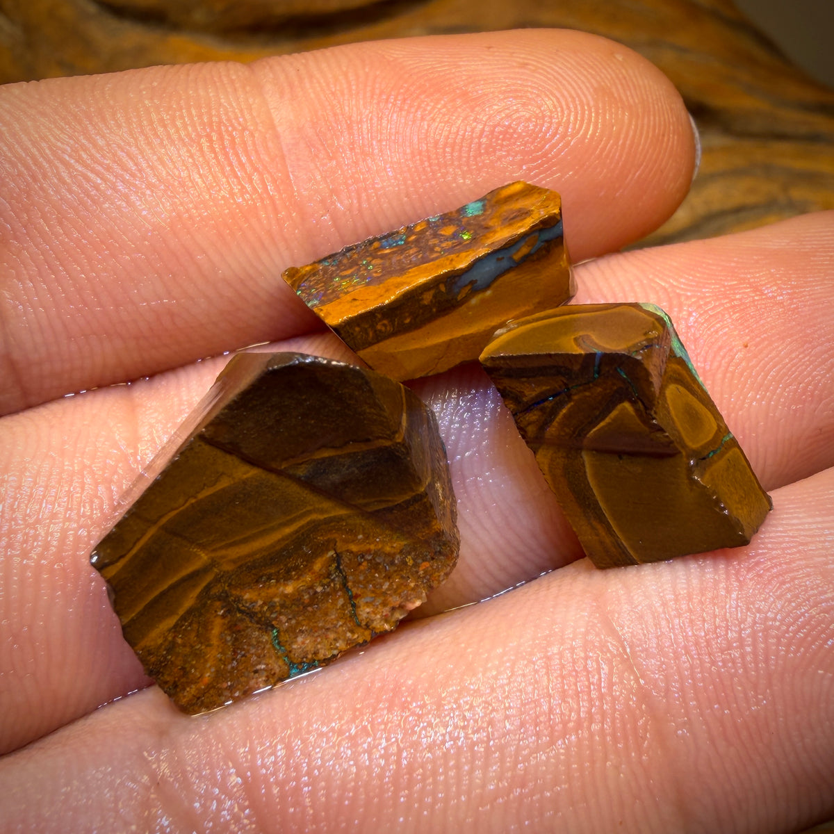 🔒29.8cts - 3x Australian Boulder Seam Opal Rubs Parcel