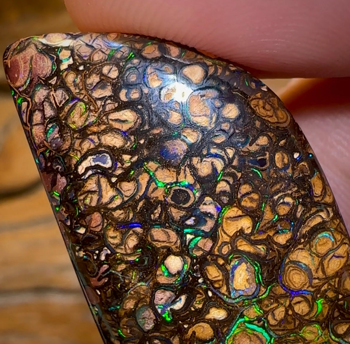 66.2cts - Yowah Nut Tribal Opal - Opal Whisperers