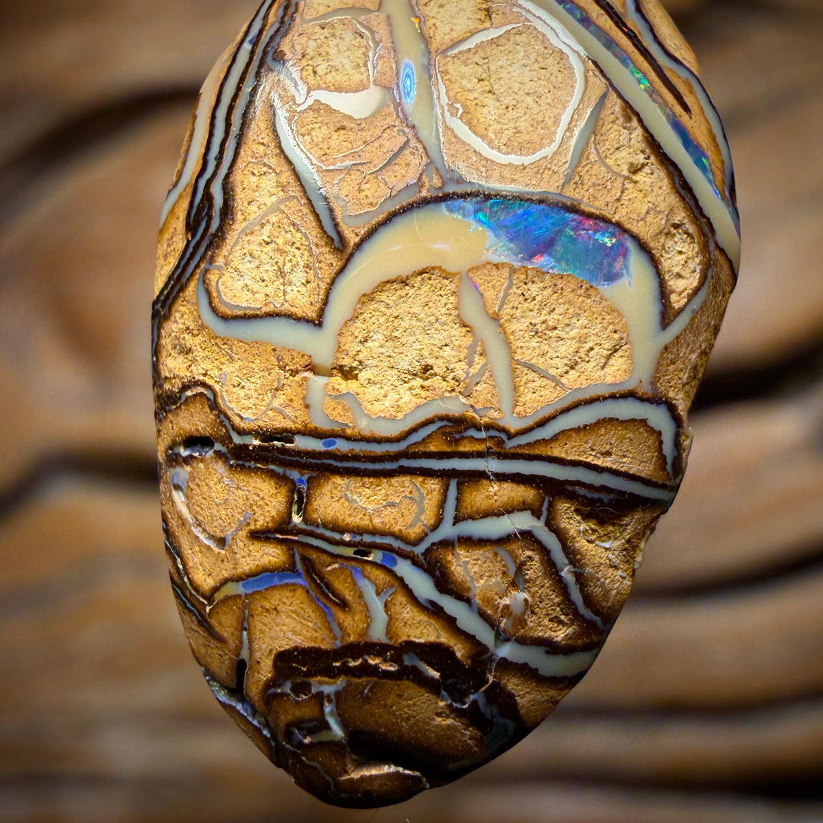 Wildcard! Solid Beige Tribal Queensland Boulder Opal Pendant