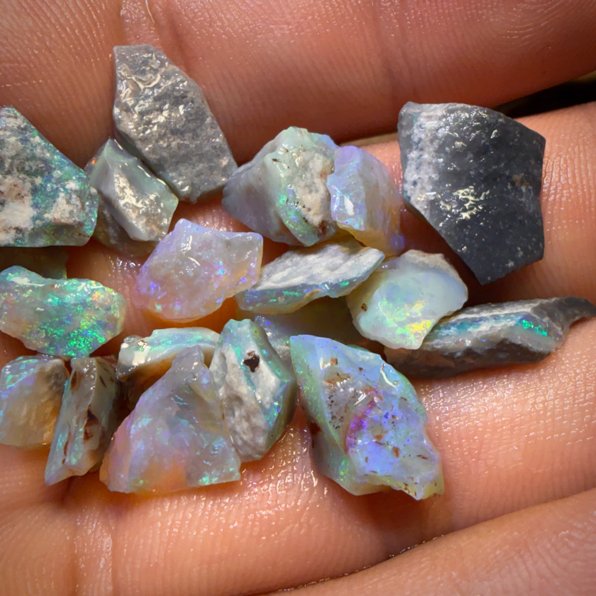 38cts - 20x Lightning Ridge Opal Rough Parcel